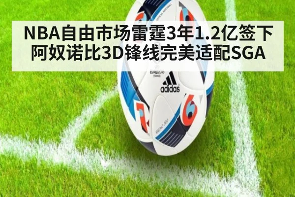 NBA自由市场雷霆3年1.2亿签下阿奴诺比3D锋线完美适配SGA