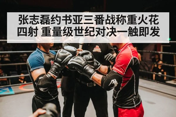 张志磊约书亚三番战称重火花四射 重量级世纪对决一触即发